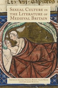bokomslag Sexual Culture in the Literature of Medieval Britain