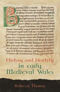 bokomslag History and Identity in Early Medieval Wales