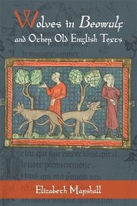 bokomslag Wolves in Beowulf and Other Old English Texts