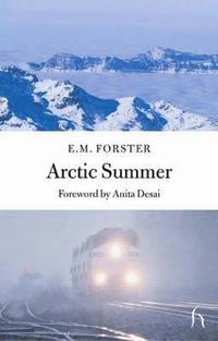 bokomslag Arctic Summer