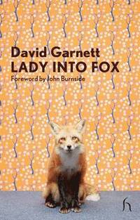 bokomslag Lady into Fox