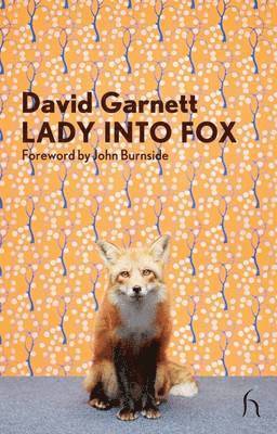 Lady into Fox