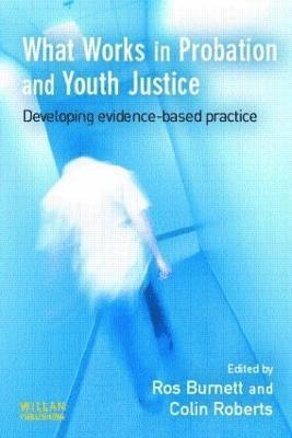 bokomslag What Works in Probation and Youth Justice