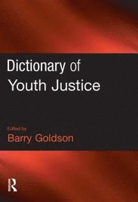 bokomslag Dictionary of Youth Justice