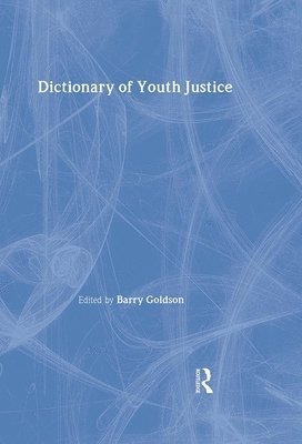 bokomslag Dictionary of Youth Justice