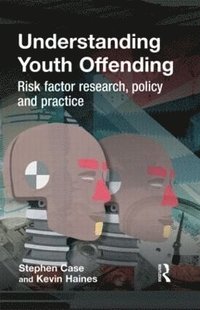 bokomslag Understanding Youth Offending