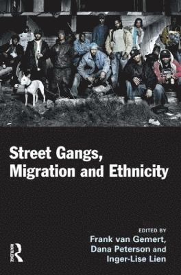 bokomslag Street Gangs, Migration and Ethnicity