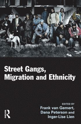 Frank van Gemert, Dana Peterson, Inger-Lise Lien, Amsterdam) van Gemert, Frank (VU University, USA) Peterson, Dana (School of Criminal Justice, University at Albany, State University of New York - Street Gangs, Migration and Ethnicity, Häftad