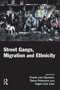 bokomslag Street Gangs, Migration and Ethnicity