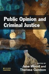 bokomslag Public Opinion and Criminal Justice