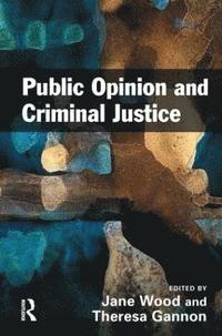 bokomslag Public Opinion and Criminal Justice