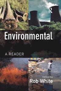 bokomslag Environmental Crime