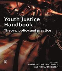 bokomslag Youth Justice Handbook
