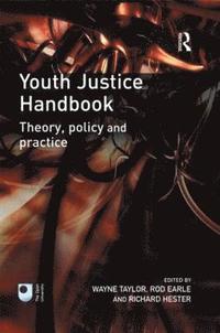 bokomslag Youth Justice Handbook