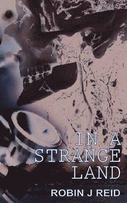 In a Strange Land 1