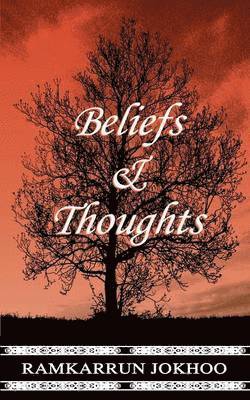 bokomslag Beliefs and Thoughts