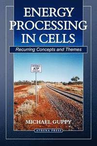 bokomslag Energy Processing in Cells