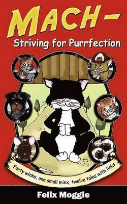 bokomslag Mach - Striving for Purrfection