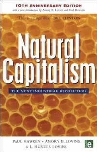 bokomslag Natural Capitalism