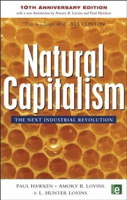 bokomslag Natural Capitalism