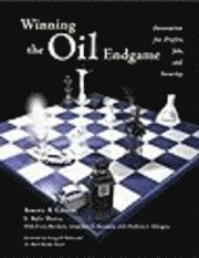 Winning the Oil Endgame 1