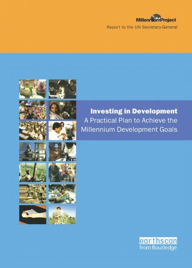 bokomslag UN Millennium Development Library: Investing in Development