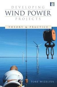 bokomslag Developing Wind Power Projects