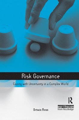 bokomslag Risk Governance