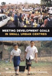 bokomslag Meeting Development Goals in Small Urban Centres