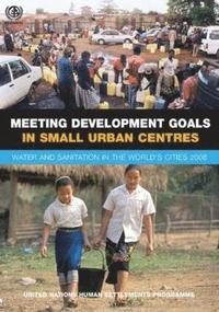 bokomslag Meeting Development Goals in Small Urban Centres