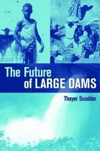 bokomslag The Future of Large Dams