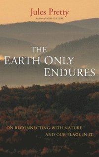 bokomslag The Earth Only Endures