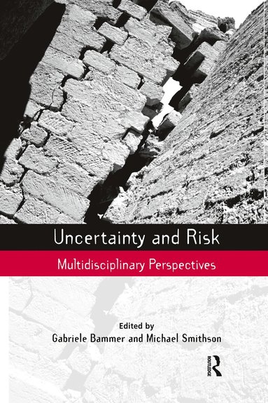 Gabriele Bammer, Michael Smithson - Uncertainty and Risk, Inbunden