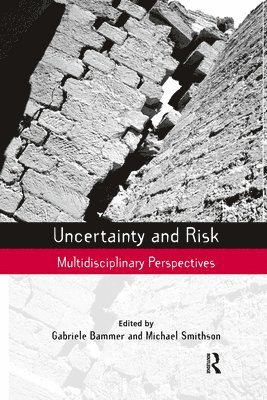 bokomslag Uncertainty and Risk