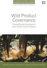 bokomslag Wild Product Governance
