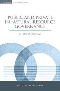 bokomslag Public and Private in Natural Resource Governance