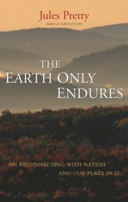 bokomslag The Earth Only Endures