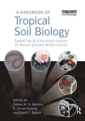 bokomslag A Handbook of Tropical Soil Biology