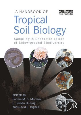 bokomslag Handbook of Tropical Soil Biology