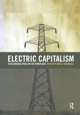 bokomslag Electric Capitalism