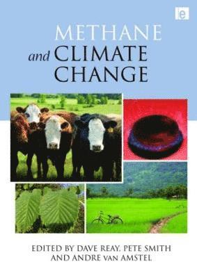 bokomslag Methane and Climate Change