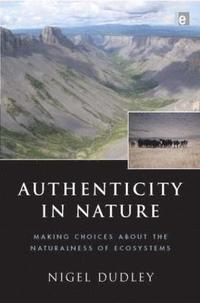 bokomslag Authenticity in Nature