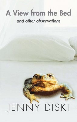 Jenny Diski - View From The Bed And Other Observations, Häftad