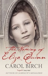 bokomslag The Naming Of Eliza Quinn
