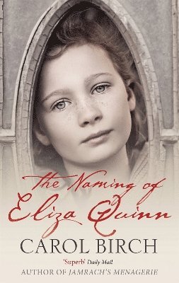 The Naming Of Eliza Quinn 1