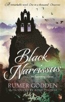 Black Narcissus