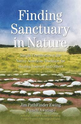 bokomslag Finding Sanctuary in Nature