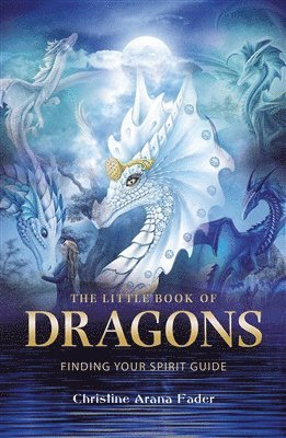 Little Book of Dragons 1