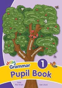 bokomslag Grammar 1 Pupil Book