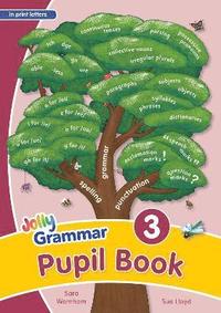 bokomslag Grammar 3 Pupil Book